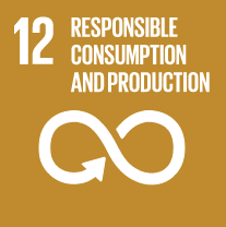 Sustainable Development Goal 12: Responsible Consumption and Production
